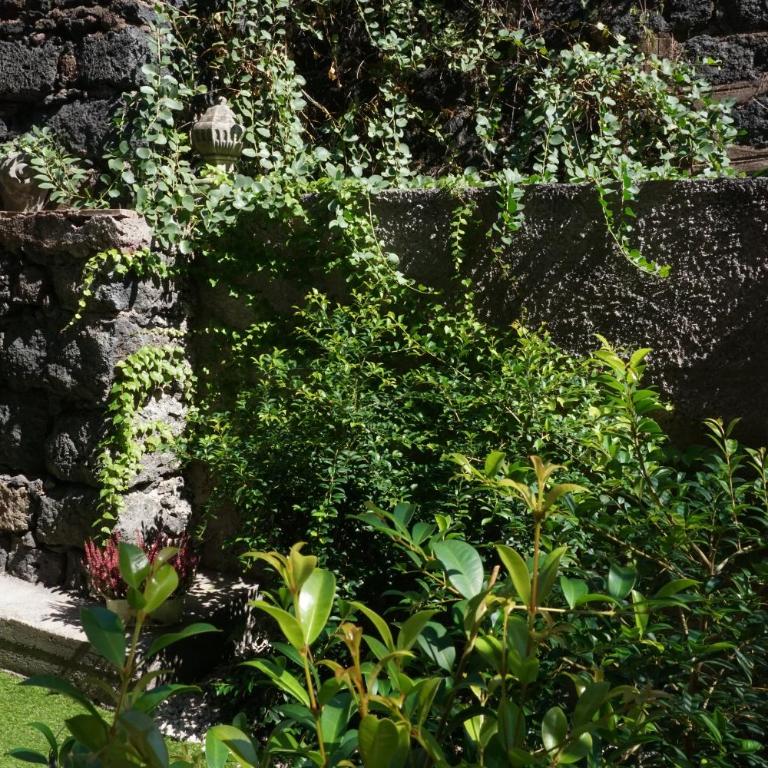 Casa Gisé - Apartment with Garden View - 50