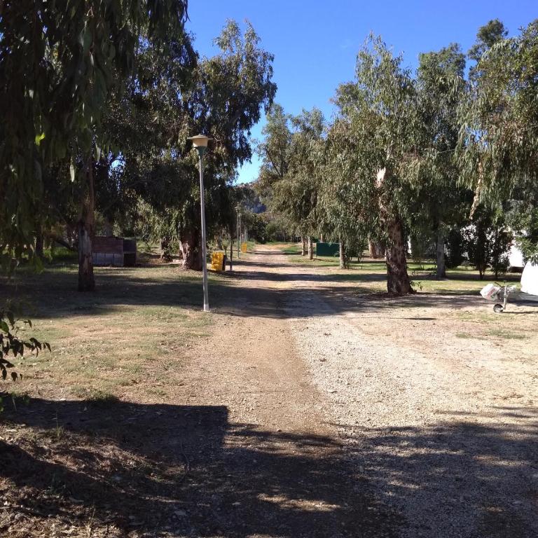 Camping la Naranja - Tent - 20