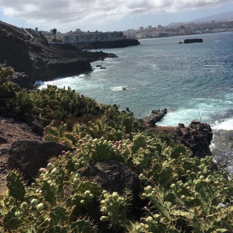 NATURAL CONFITAL BEACH - Apartamento de 2 dormitorios - 47