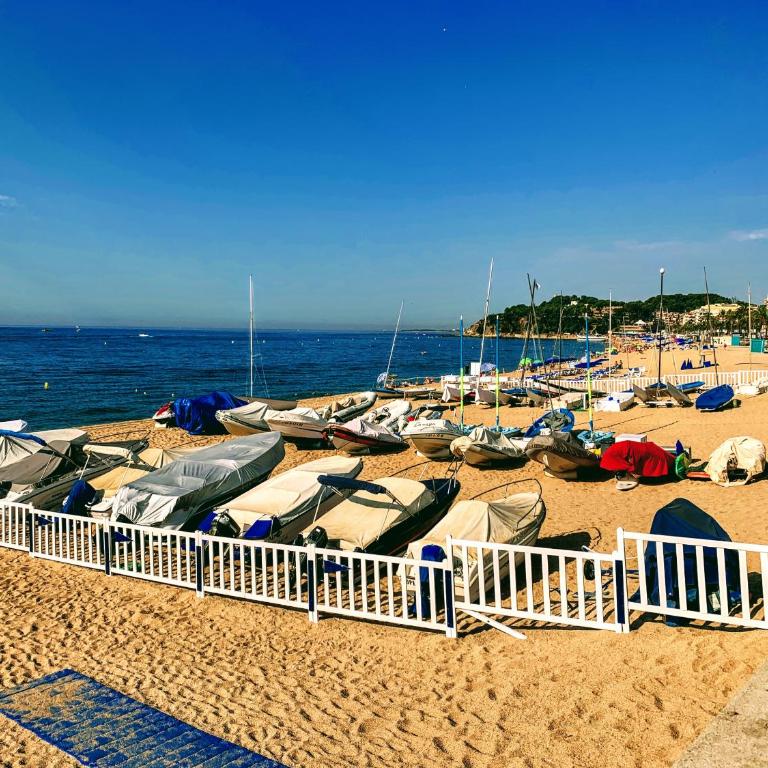 Happy LLoret - Apartamento - 30