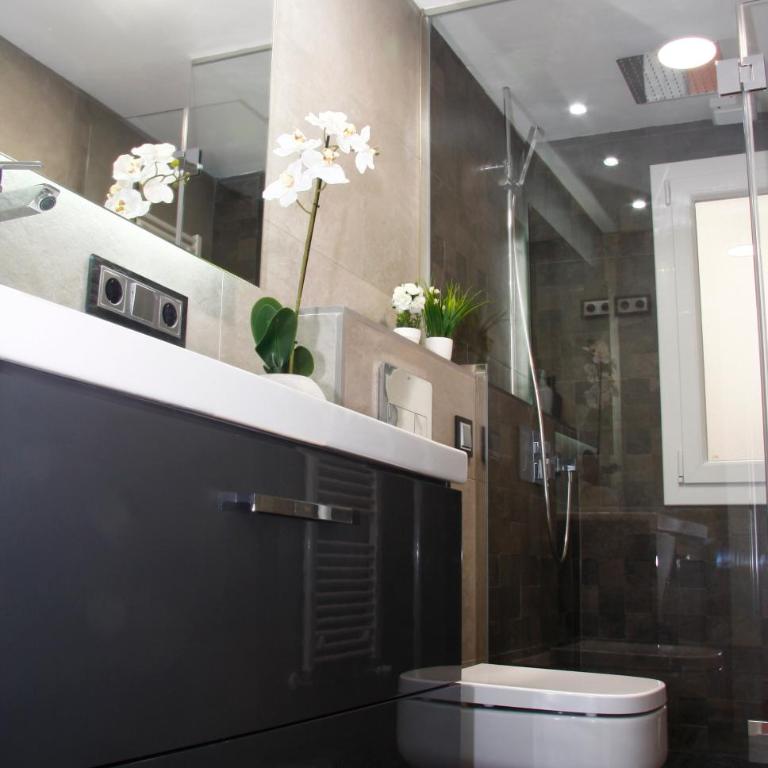 Princesa VUT - Apartamento Estándar - 12