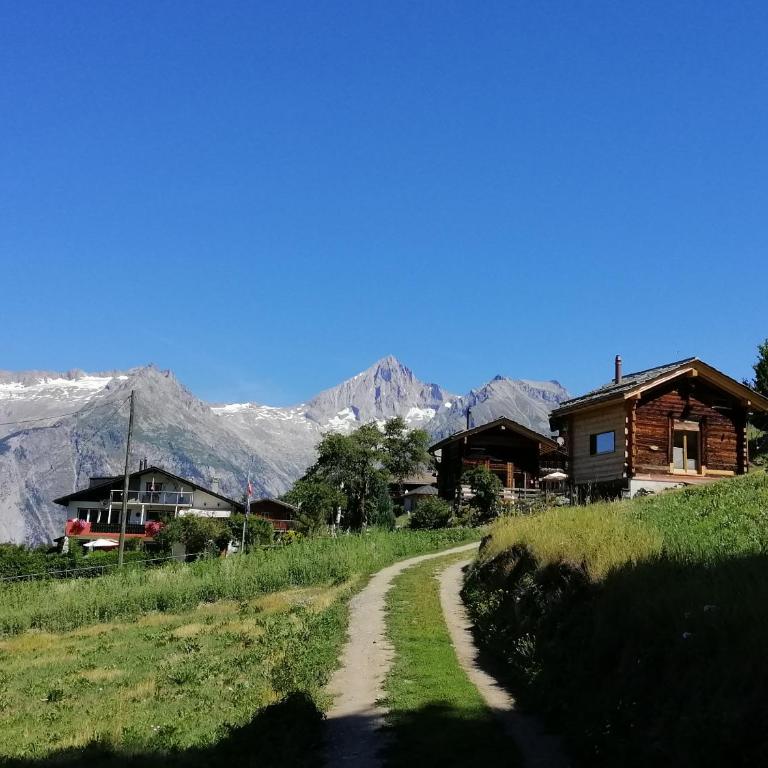 "forno one" - Bürchen Moosalp - Chalet mit 1 Schlafzimmer - 31