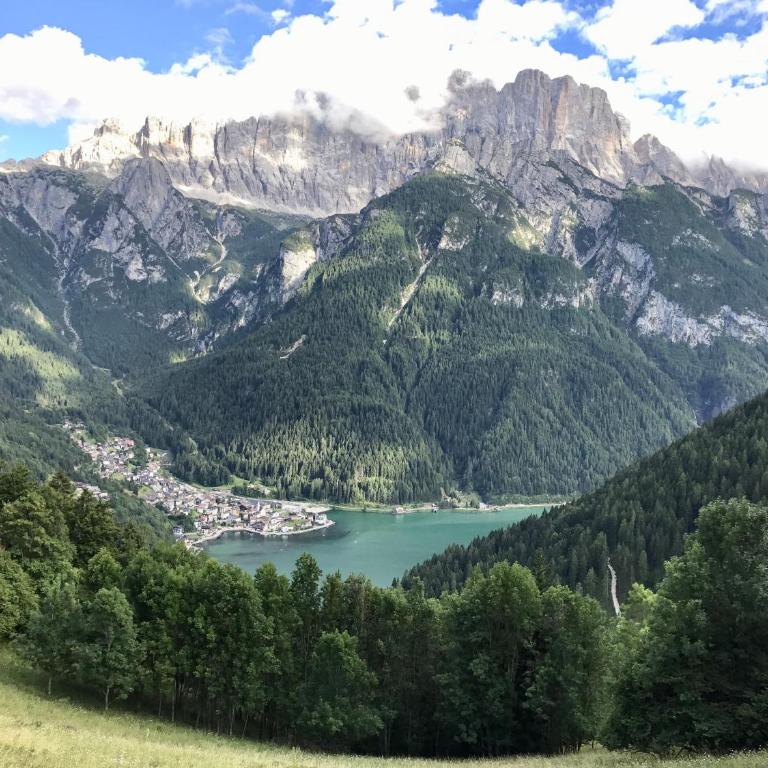 Appartamento Le Pale - Appartamento con Vista Montagna - 28