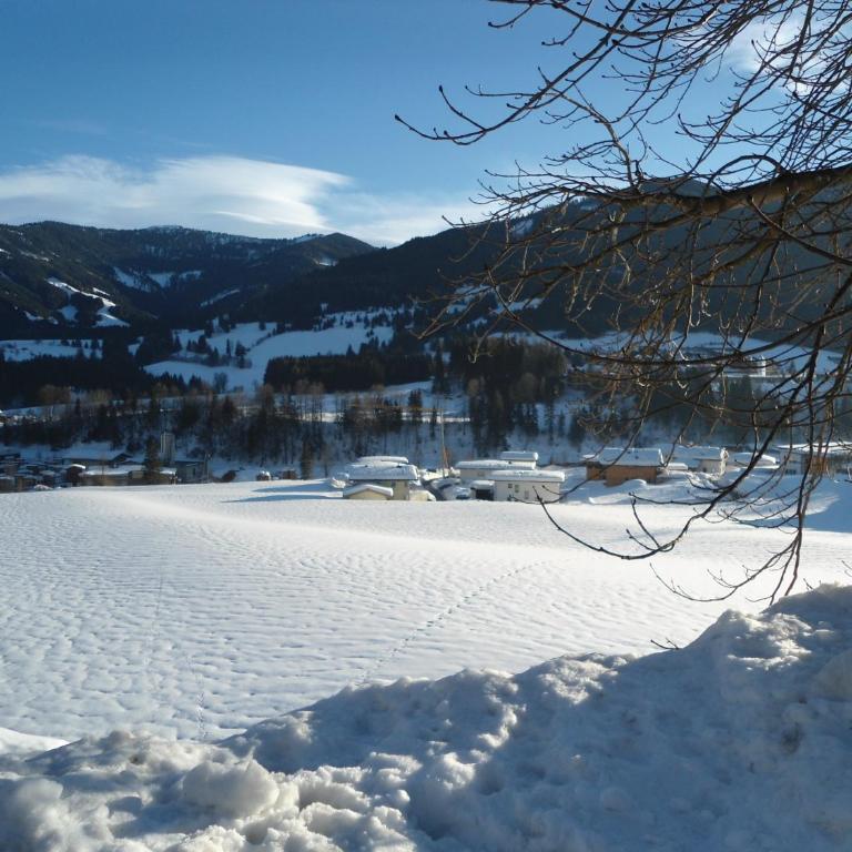 Ferienwohnung Brandtner Leogang - Apartment mit Balkon - 23