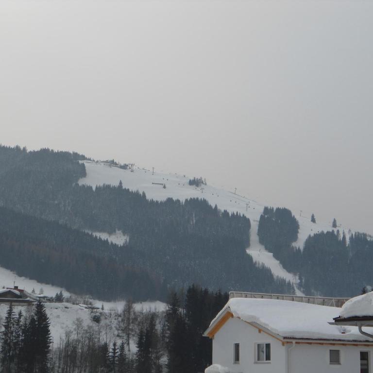 Ferienwohnung Brandtner Leogang - Apartment mit Balkon - 22