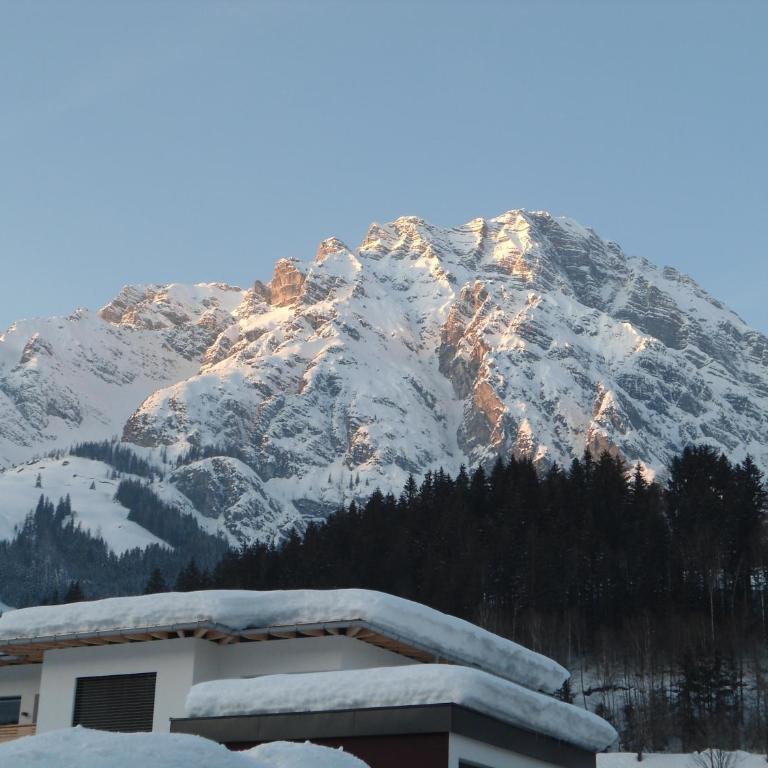 Ferienwohnung Brandtner Leogang - Apartment mit Balkon - 21