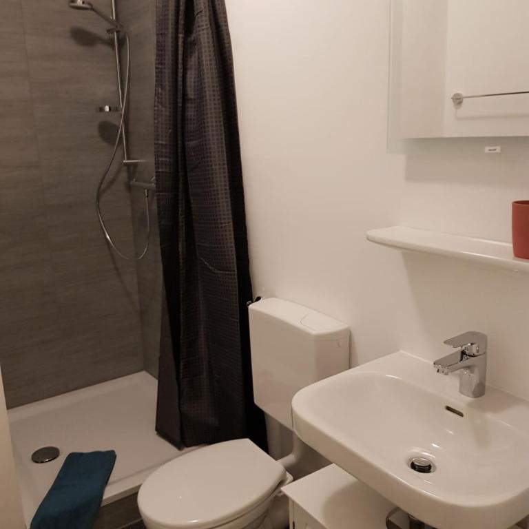 Apartments Blumenthal - Appartamento - Piano Terra - 5