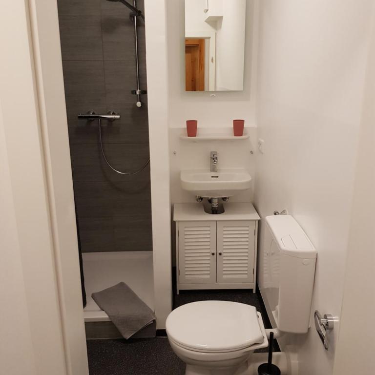 Apartments Blumenthal - Appartamento con Balcone - 3