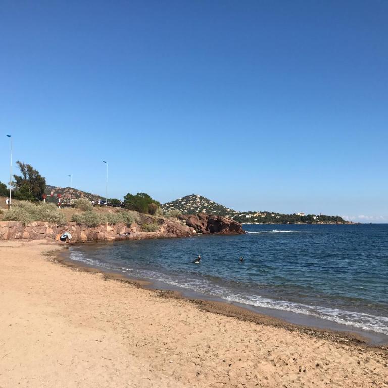 Studio vue mer et Esterel - Appartement 1 Chambre - 7