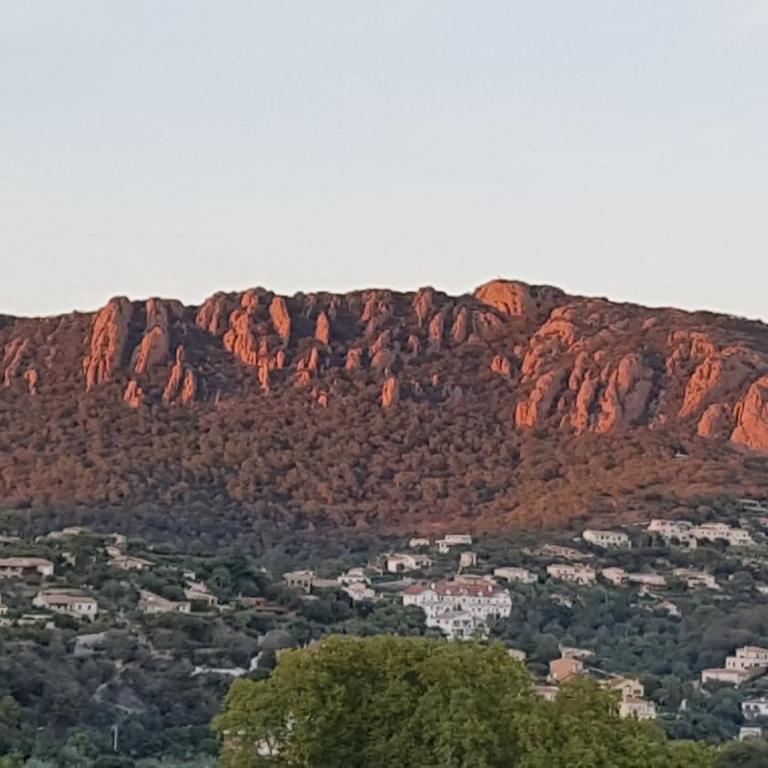 Studio vue mer et Esterel - Appartement 1 Chambre - 15