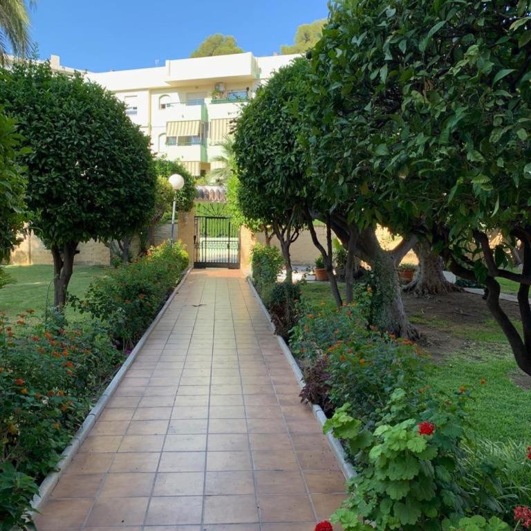 El Pinar apartment con jardín privado - Estudio con vistas al jardín - 8