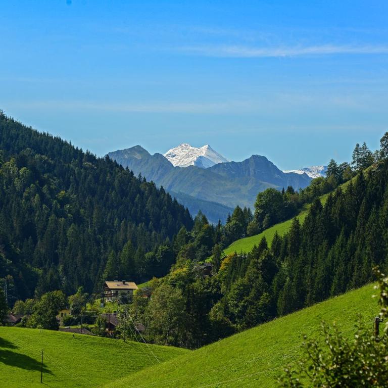 Gams Lodge - Chalet - 34