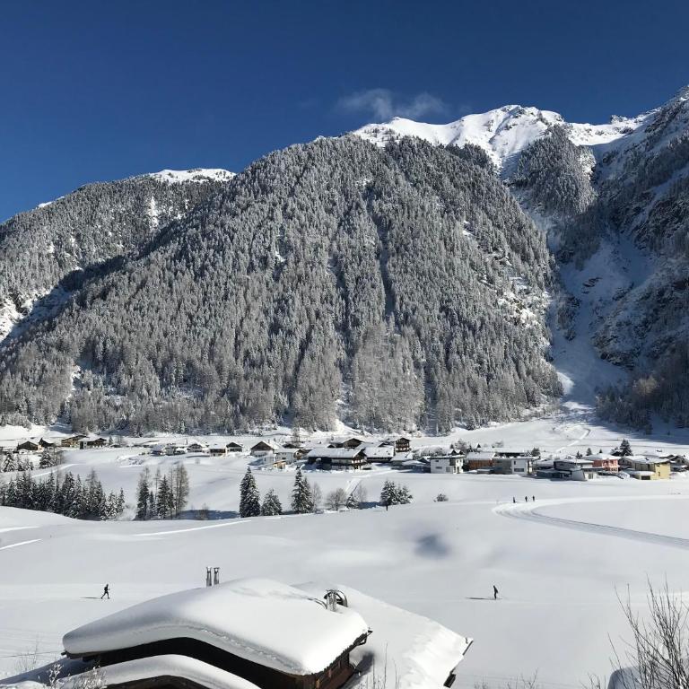 Berghof Niederthai - Deluxe Apartment - 25