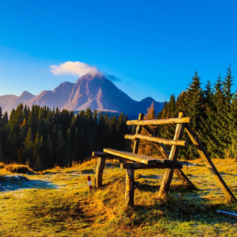 Gams Lodge - Chalet - 23