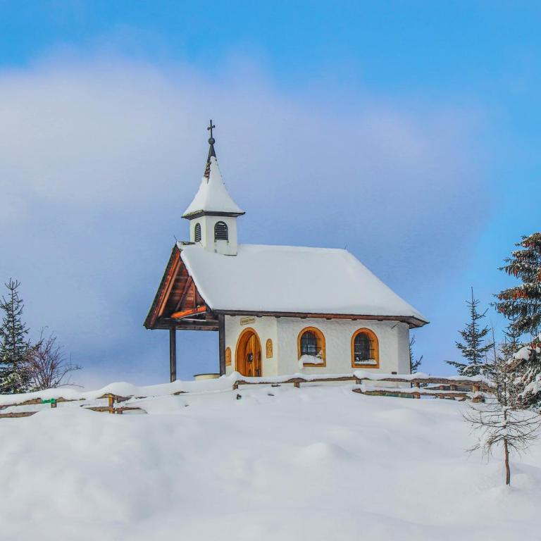 Gams Lodge - Chalet - 28