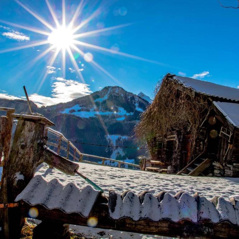 Gams Lodge - Chalet - 29