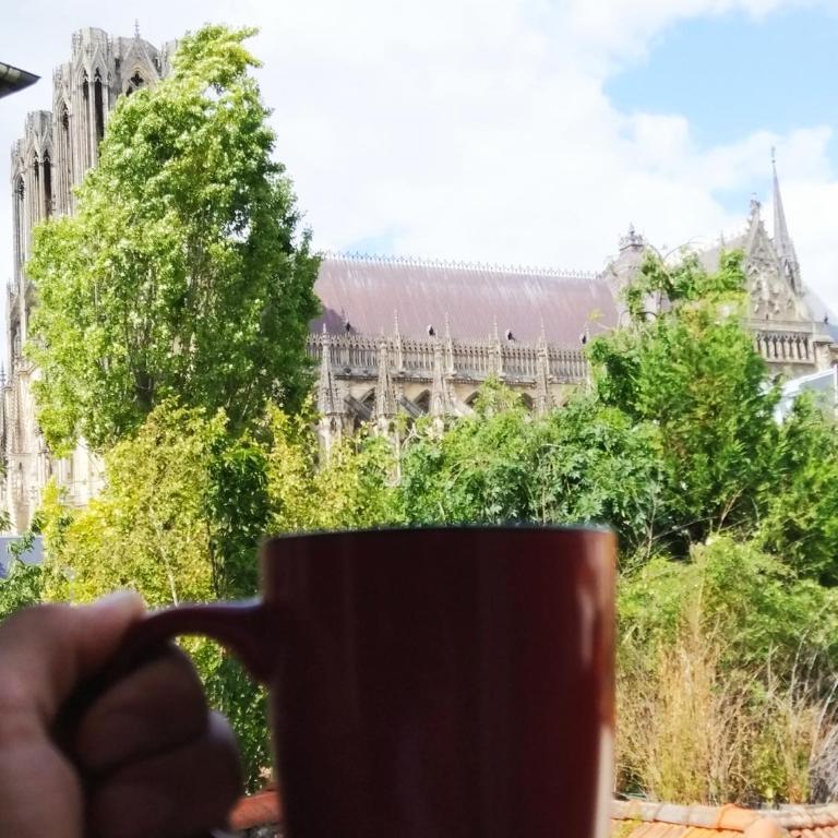 Le Fuseau de Reims - Appartement 1 Chambre - 28