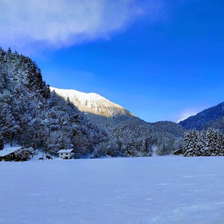 Le chalet de Bernoline vaste appartement tout confort - Appartement avec Terrasse - 11