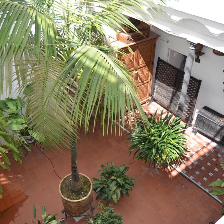 lujoso y tranquilo apartamento en el centro - Appartement 1 Chambre - 10