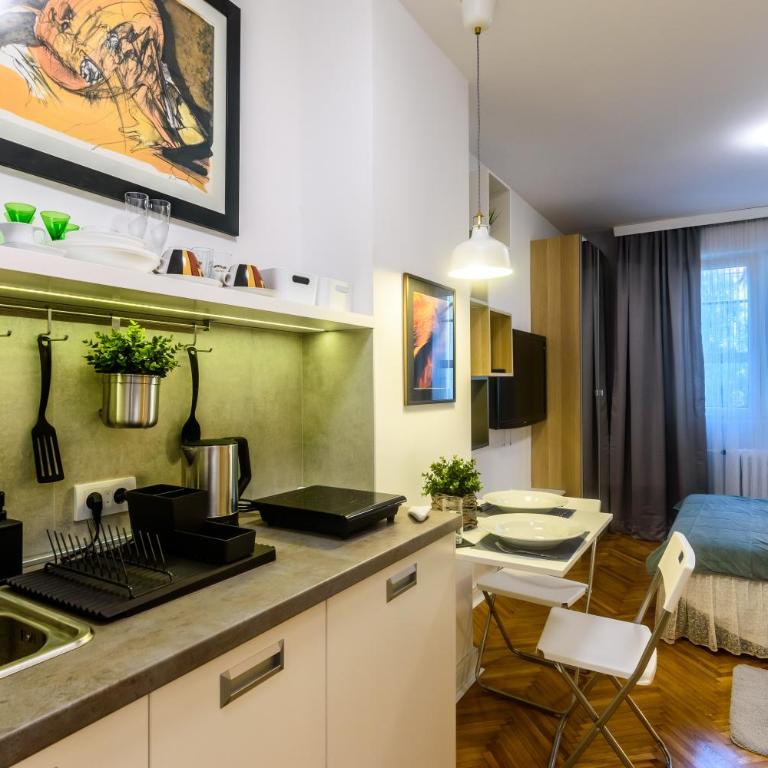 Vracar Apartment - Studio Apartment - 9