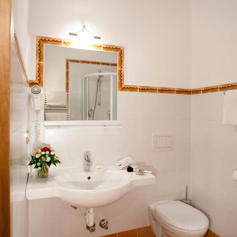 Hotel-Garni Appartement Gartenheim - Camera Singola - 2