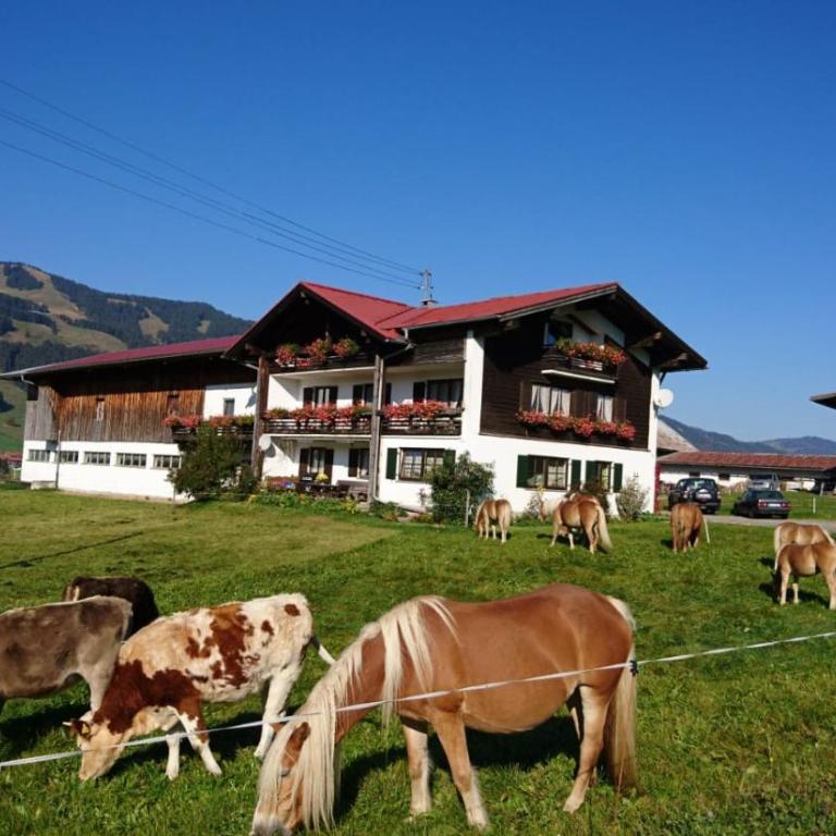 Haflinger Hof - Appartamento con 2 Camere da Letto - 1