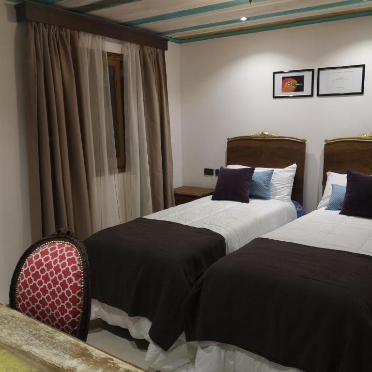 Rincón Escondido B&B - Standard Twin Room - 5