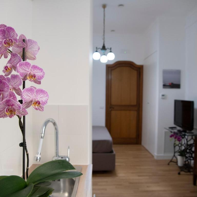 Vesuvio Blu - Studio Apartment - 20
