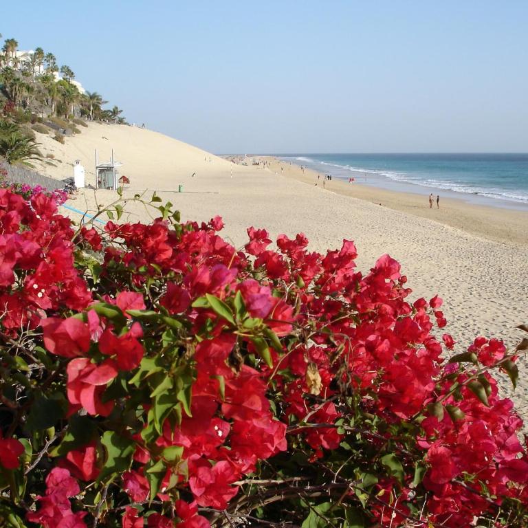 RichMood Apartments - SURFERS Studio - Apartamento Estudio con vistas al mar - 12