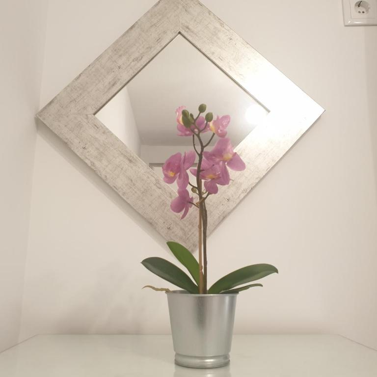 Doña Lola House - Apartamento de 3 dormitorios - 11