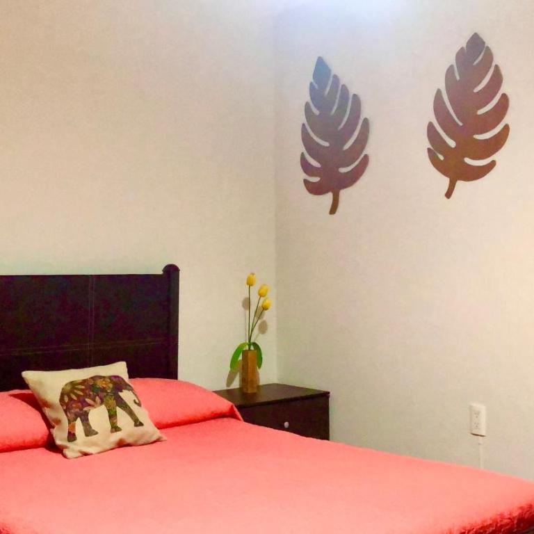 Departamento Zona Dorada - Apartment - 5