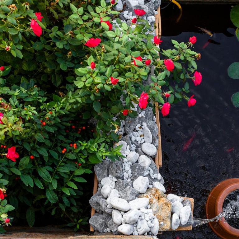 La Casetta Madonna di Morciano - One-Bedroom House - 50