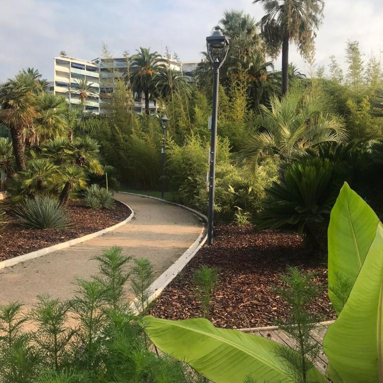 Très beau T2 dans parc montfleury ,proche centre ,au calme 44 bd Montfleury - Appartement 1 Chambre - 14