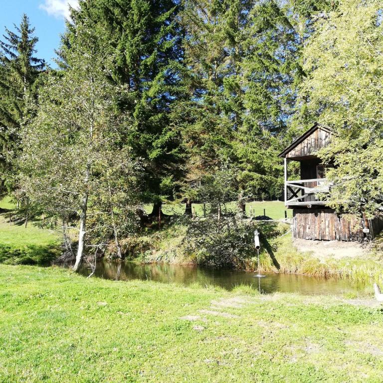 Almland Hütte - Casa con 1 Camera da Letto - 14