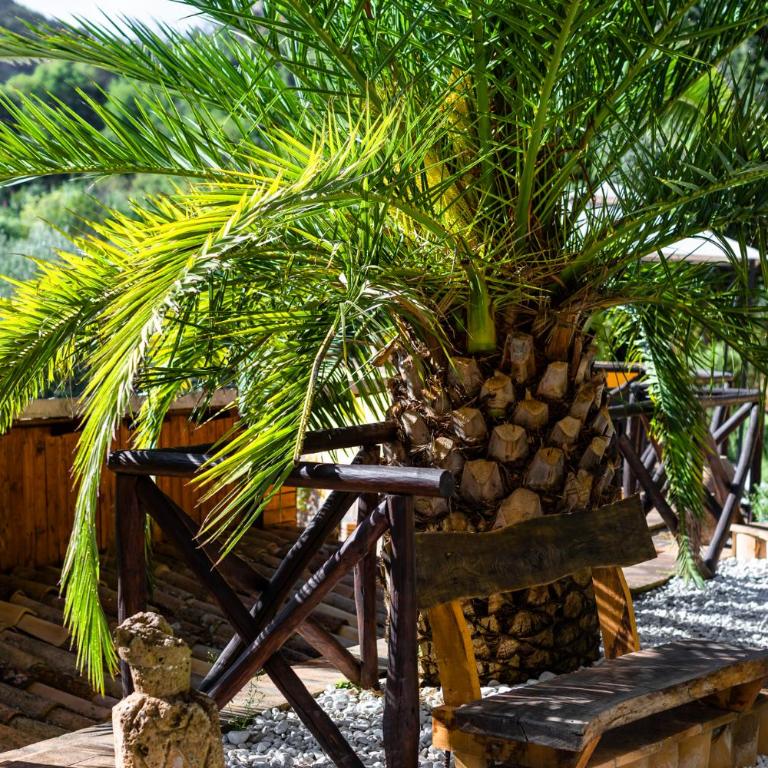 La Casetta Madonna di Morciano - One-Bedroom House - 71