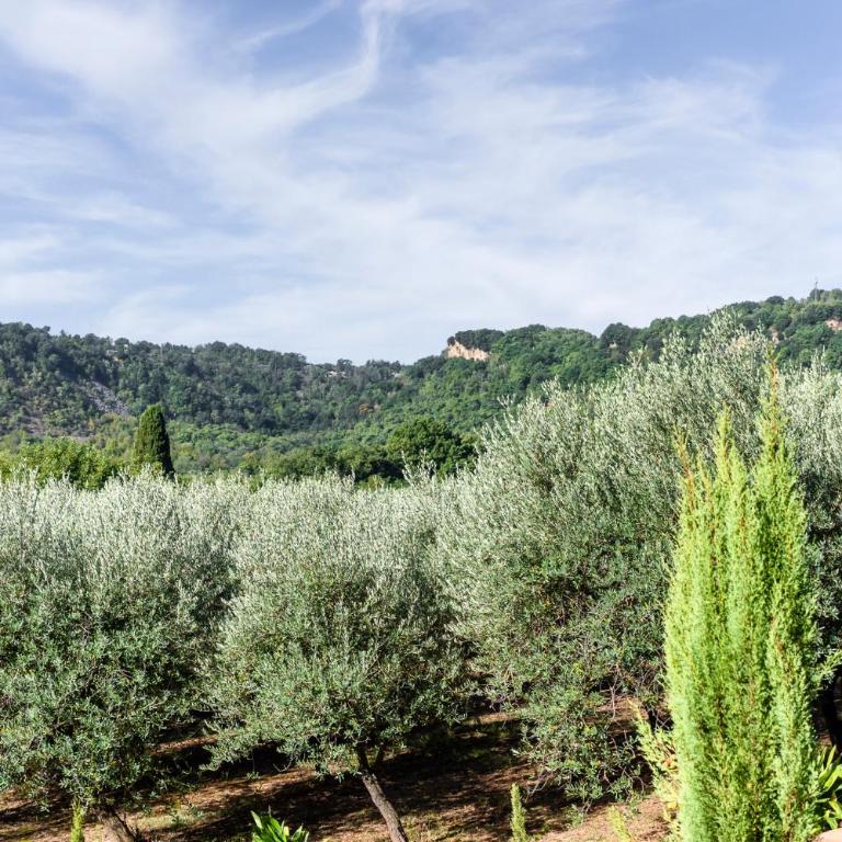 La Casetta Madonna di Morciano - One-Bedroom House - 58