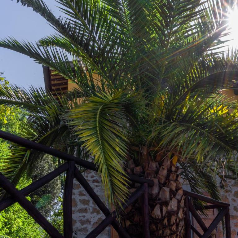 La Casetta Madonna di Morciano - One-Bedroom House - 20
