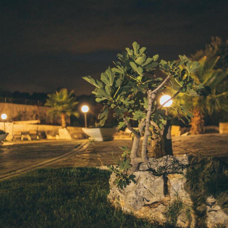 Villa Giuseppina - Piscina ad uso esclusivo - Villa con Piscina Privata - 25