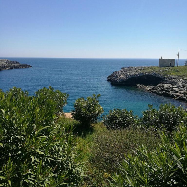 Badisco Vacanze - Appartamento con 2 Camere da Letto - 7
