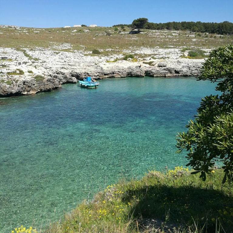 Badisco Vacanze - Appartamento con 2 Camere da Letto - 45