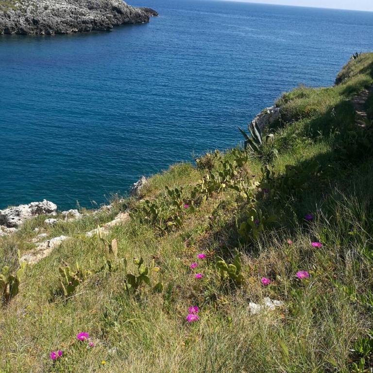 Badisco Vacanze - Appartamento con 2 Camere da Letto - 8