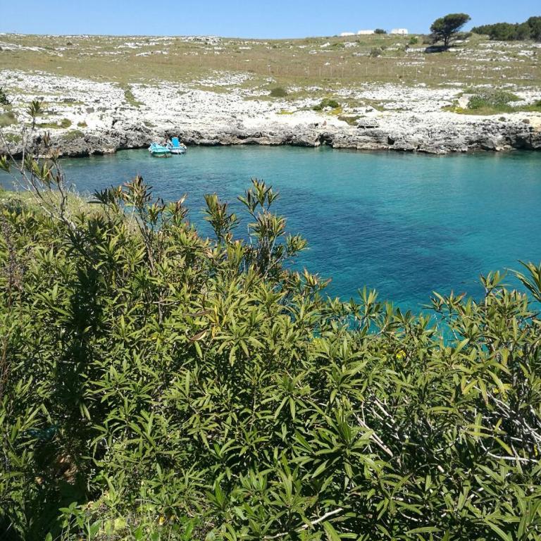 Badisco Vacanze - Appartamento con 2 Camere da Letto - 6