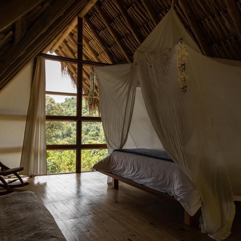 Ecolodges La Nuit - Bungalow Deluxe con vistas al jardín - 7