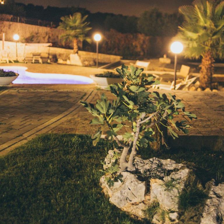 Villa Giuseppina - Piscina ad uso esclusivo - Villa con Piscina Privata - 29