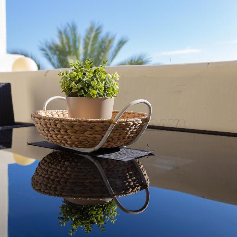 Residencial Duquesa 18 - Apartamento de 2 dormitorios - 12