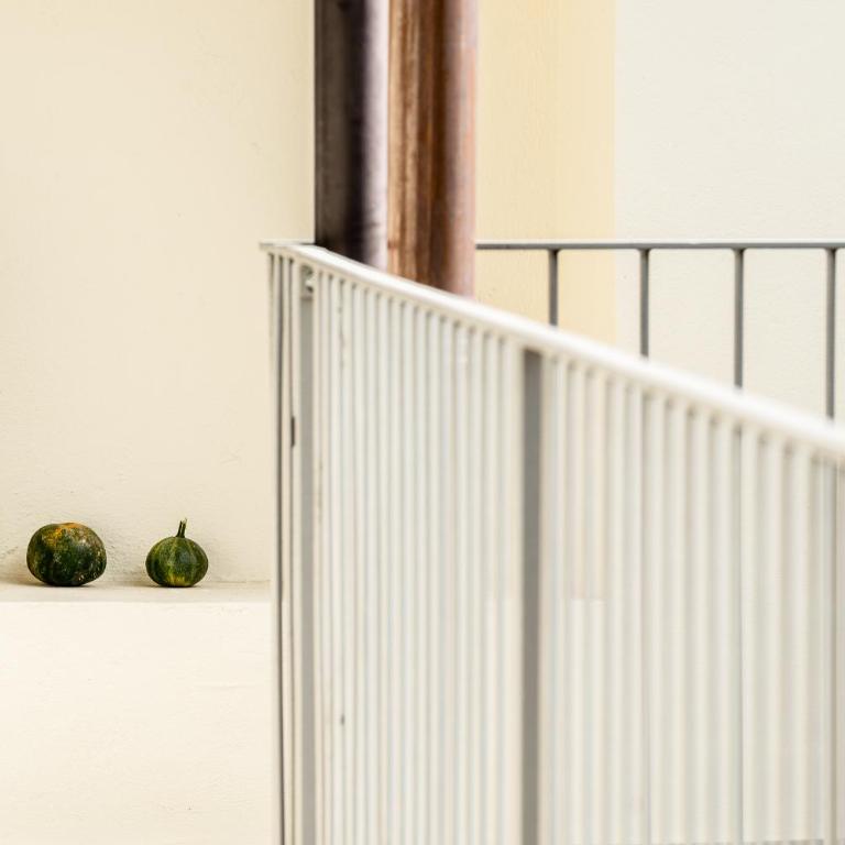 trifulhouse holiday apartments - Appartamento con 1 Camera da Letto e Terrazza - 13
