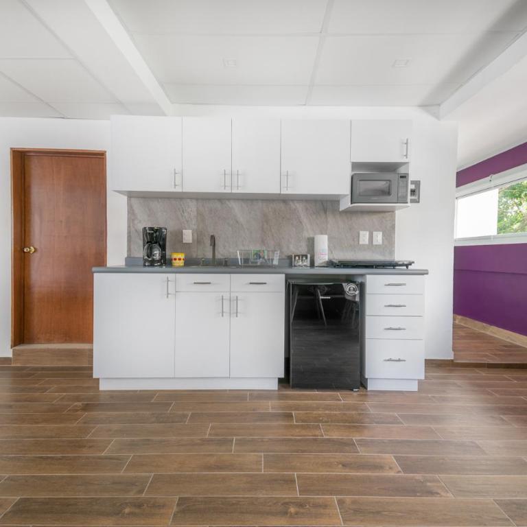 Deluxe Loft at Colonia ROMA - Apartamento de 1 dormitorio - 10
