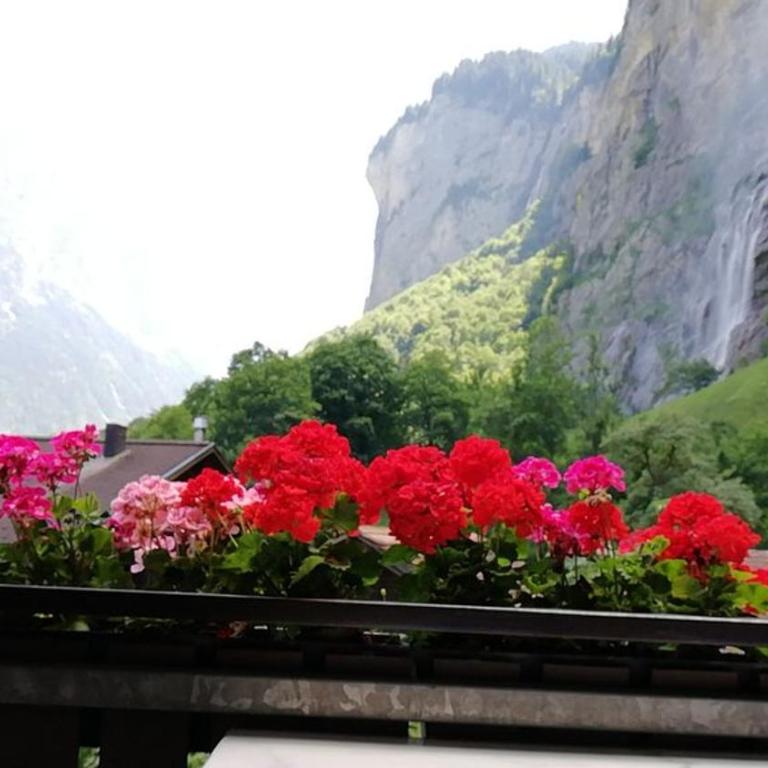 Lauterbrunnen Staubbach Beautiful Waterfall Apartment - Apartment mit 3 Schlafzimmern - 83