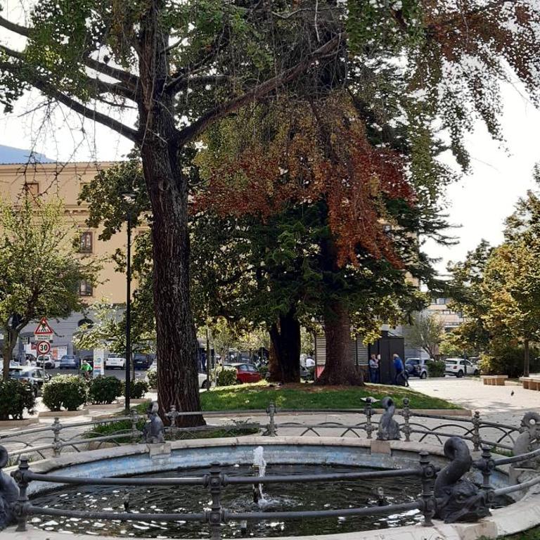 Casa Andrea tra Napoli e Sorrento - Appartamento - 37