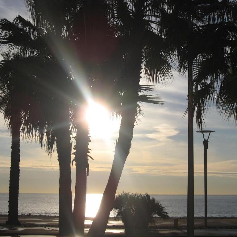 Plage et hippodrome - Estudio - 16